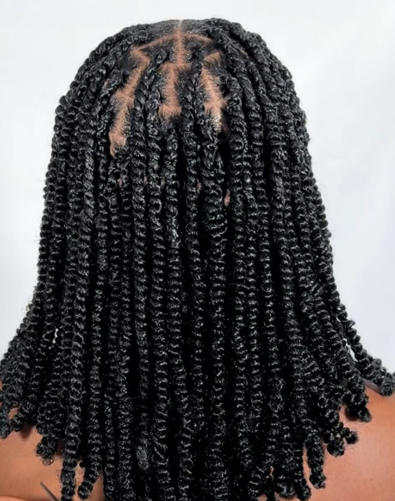 Spring Twist / Bar Strap