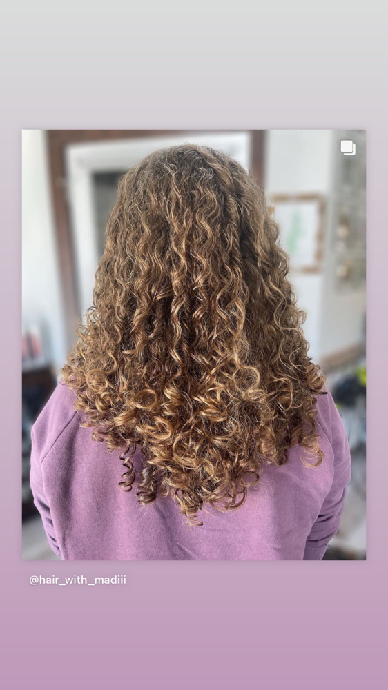 Dry Curly cut