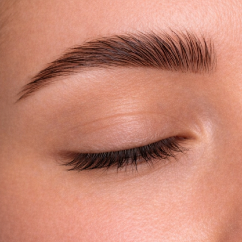 Traditional Brow Tint at The Lash Mob LLC in Erie, PA