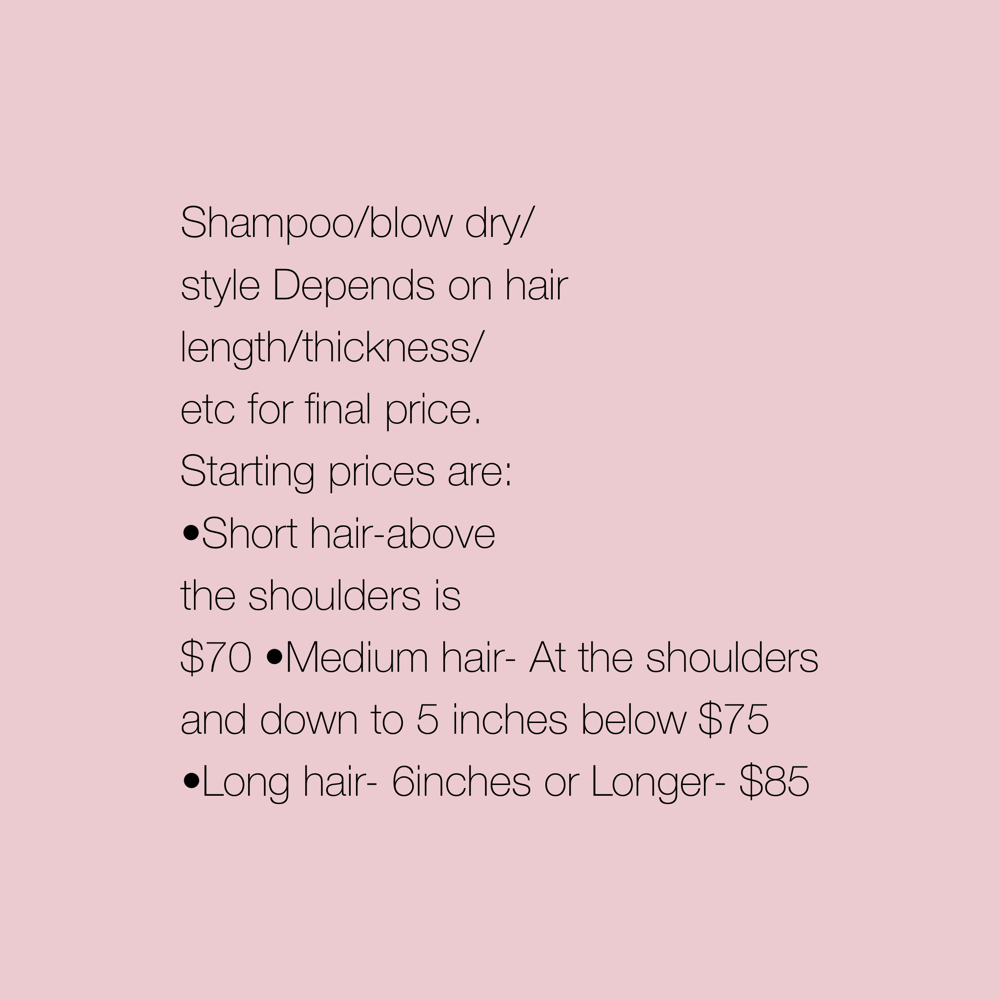 Shampoo Blowout + Basic Style