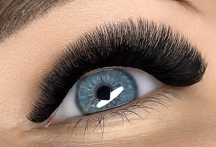 Full Set Maga Volume