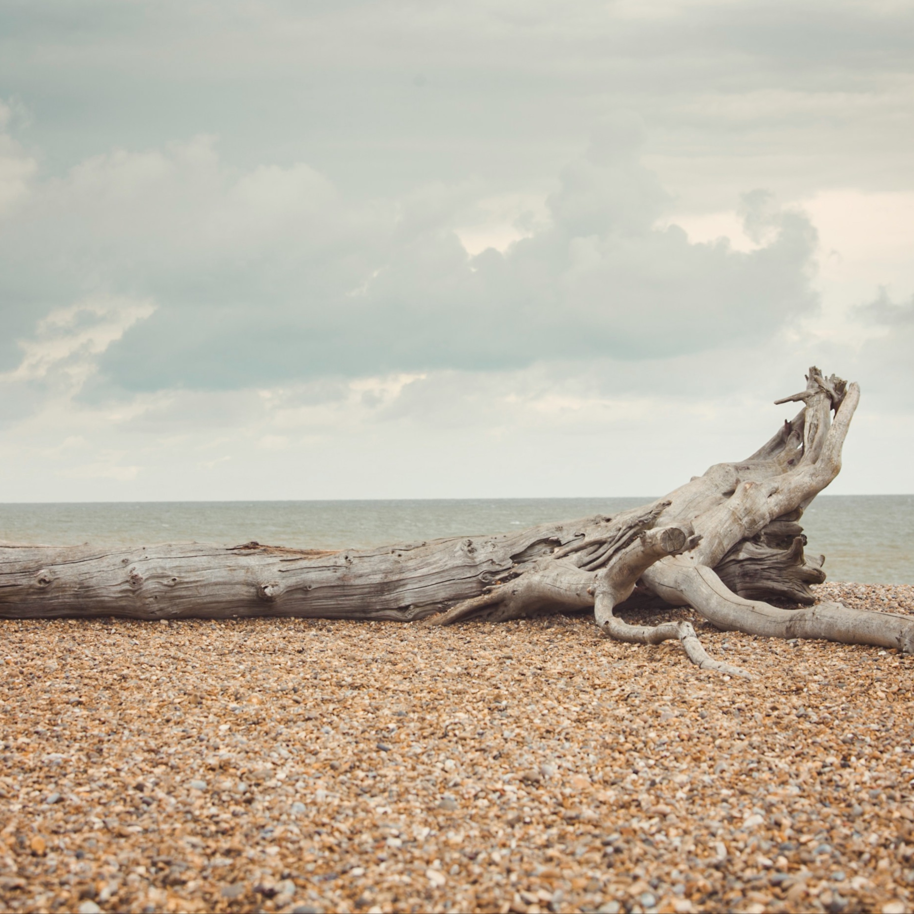 Drift Massage at Blue Wellness Studio, LLC in Pacific City, OR