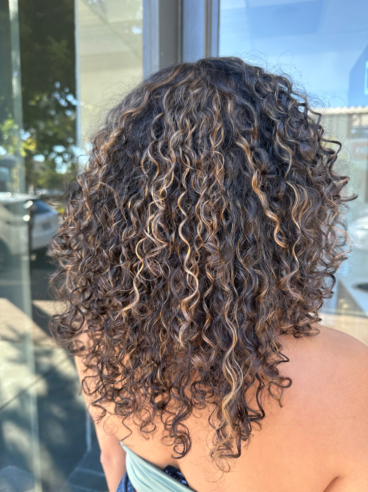 Curly Partial Highlight