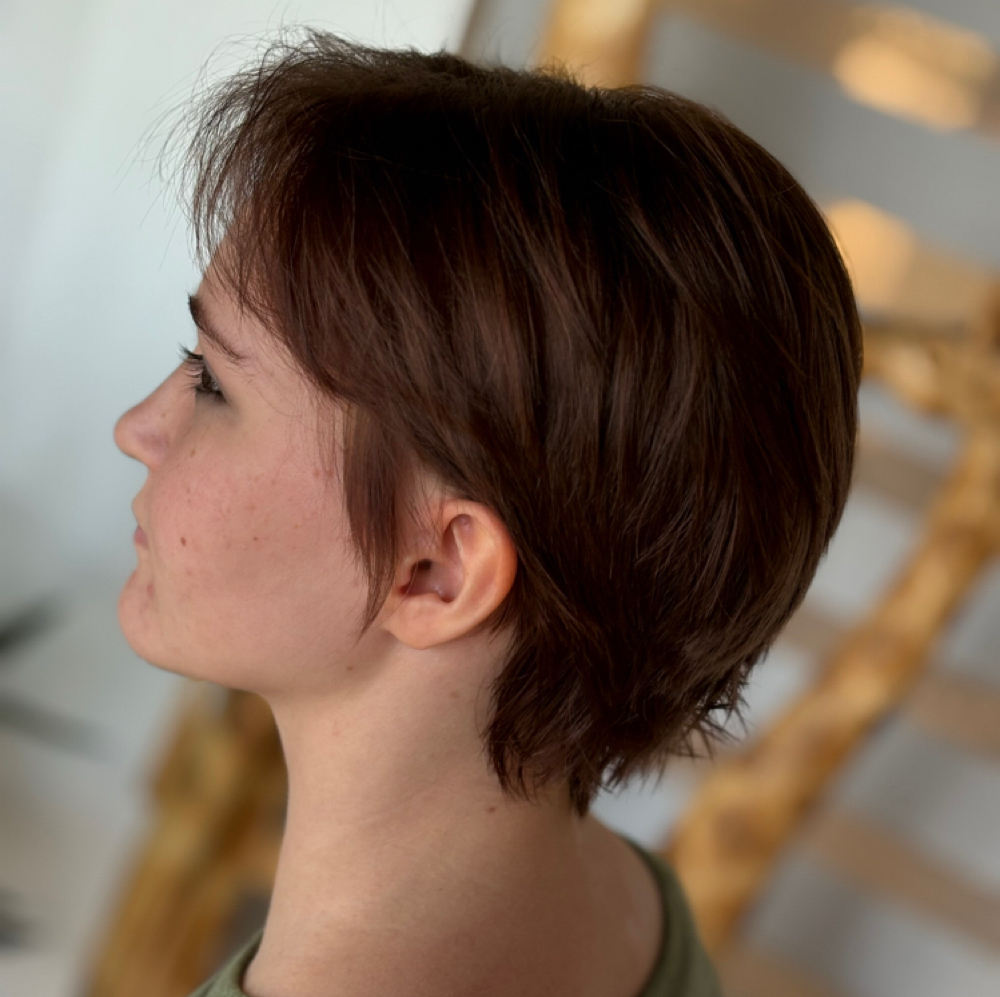 Short Haircut at Bewitch Cosmetology in Springfield, MO
