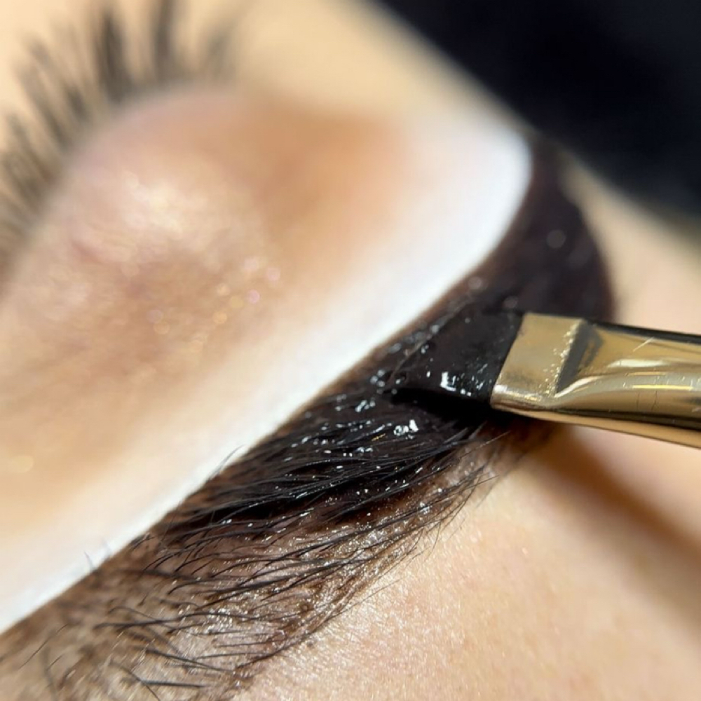 Brow Lami W/ Shaping and Tint at Esthetically  Beautiful in Tracy, CA
