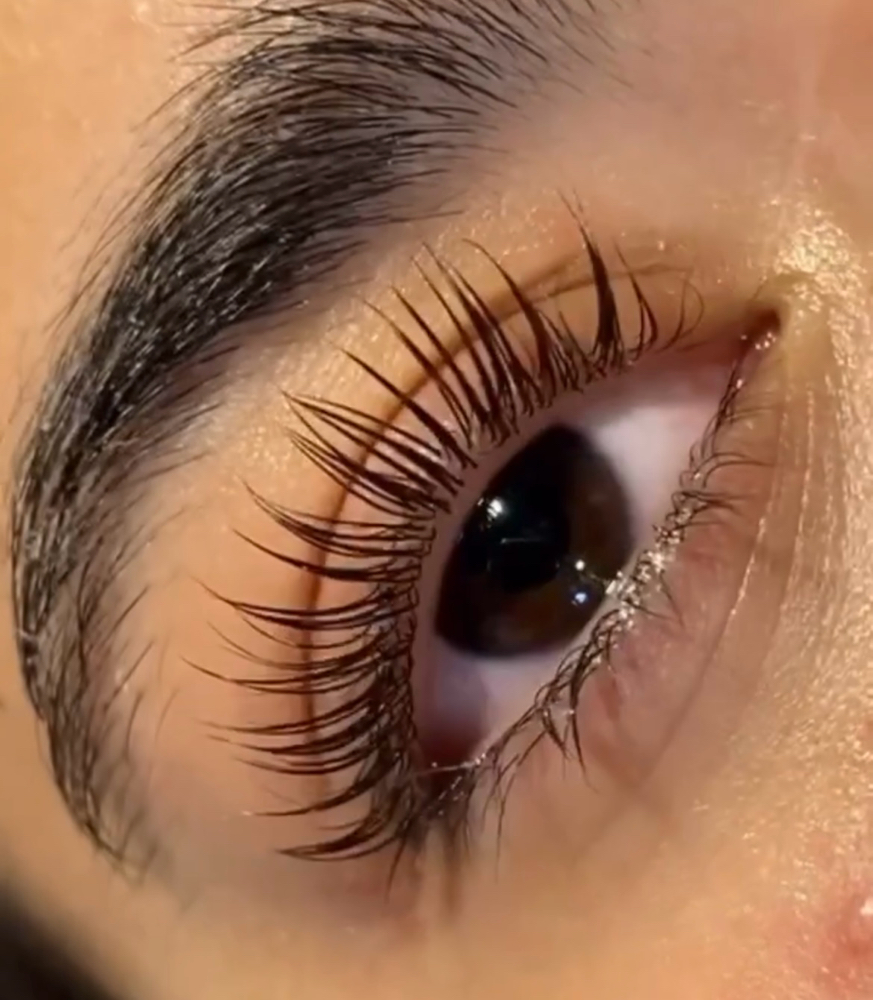 LASH LIFT