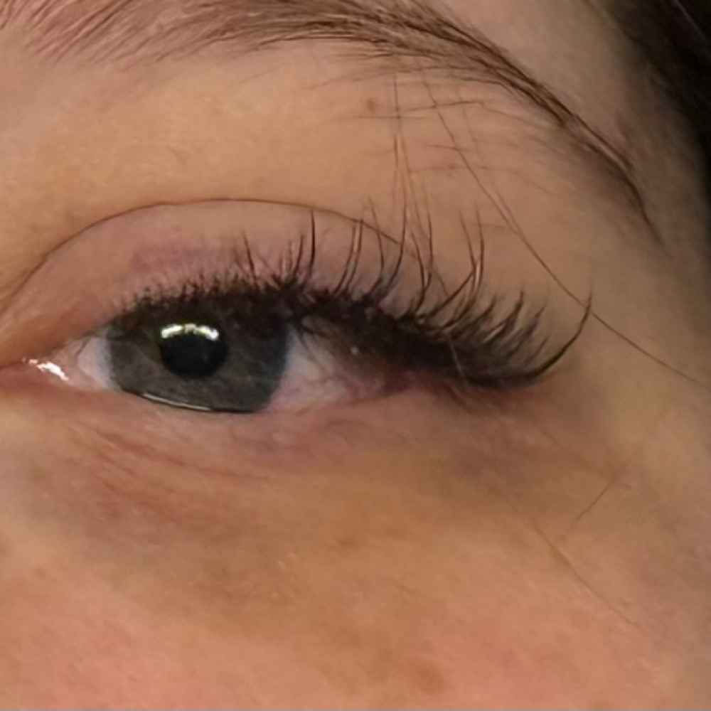 Hybrid Full Set at The Lash Authority Co. in Franklin, KY
