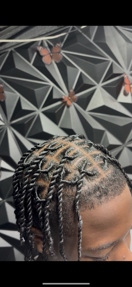 Two Strand (Not Locs)