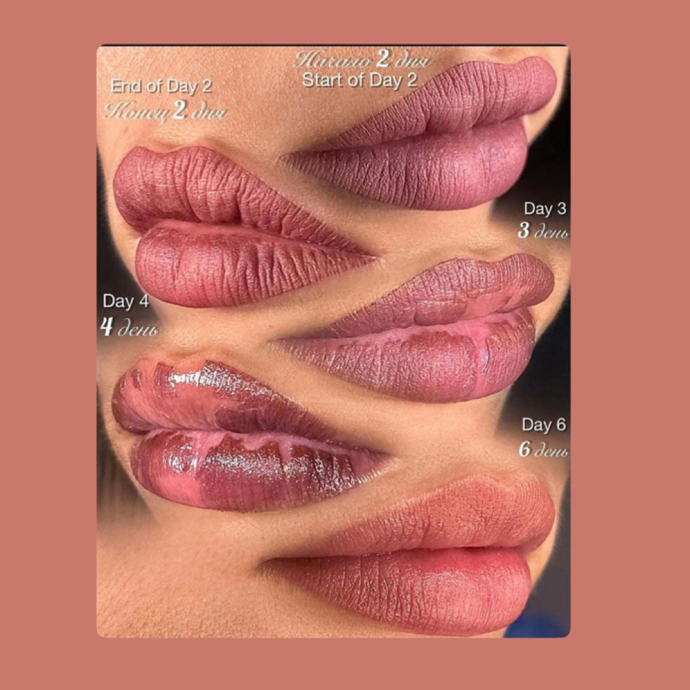 Lip Blush Model Call  🌸Ages 18–35 at Ella Myer Esthetics in Pensacola, FL