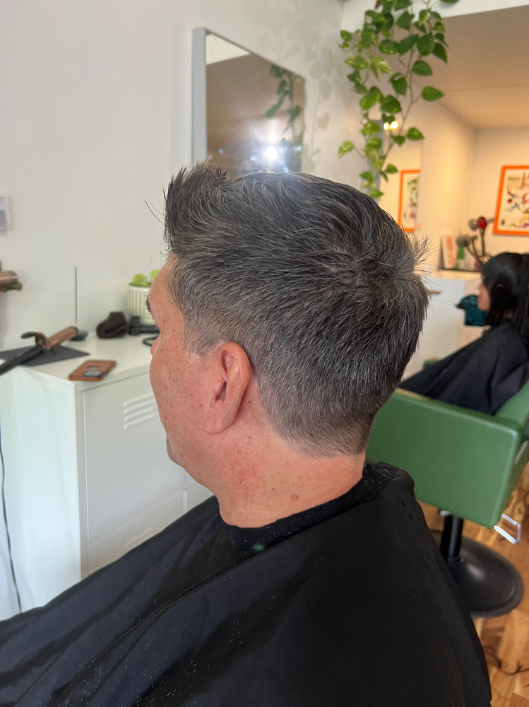 Mens Cut