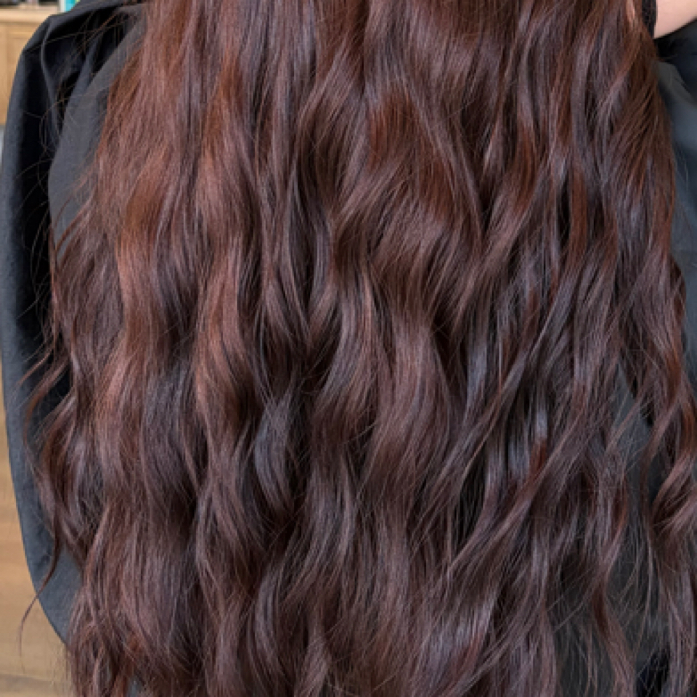 All Over Color + Haircut at Hair By Hal in Pleasant Grove, UT