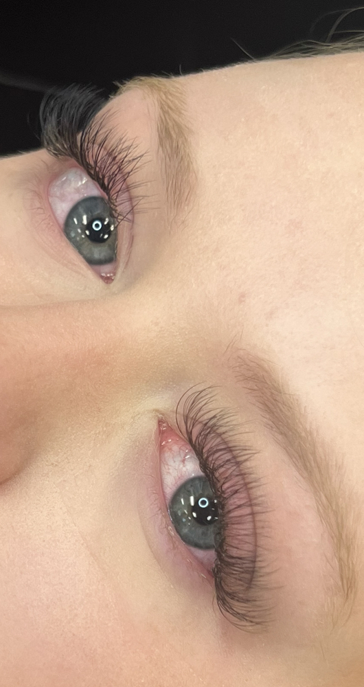 Lash Fill In