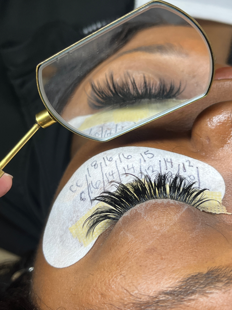 STANDARD LASH FILL
