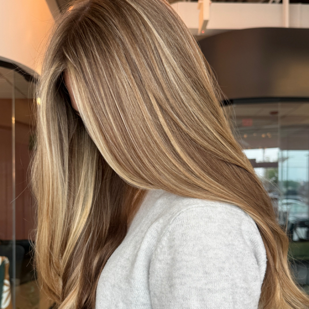 blonding  FACEFRAME + DIMENSION at Behold Beauty Hair Studio in North Canton, OH
