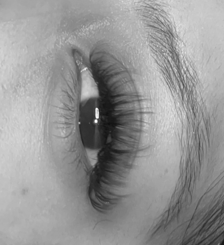 Brown Lash Extensions