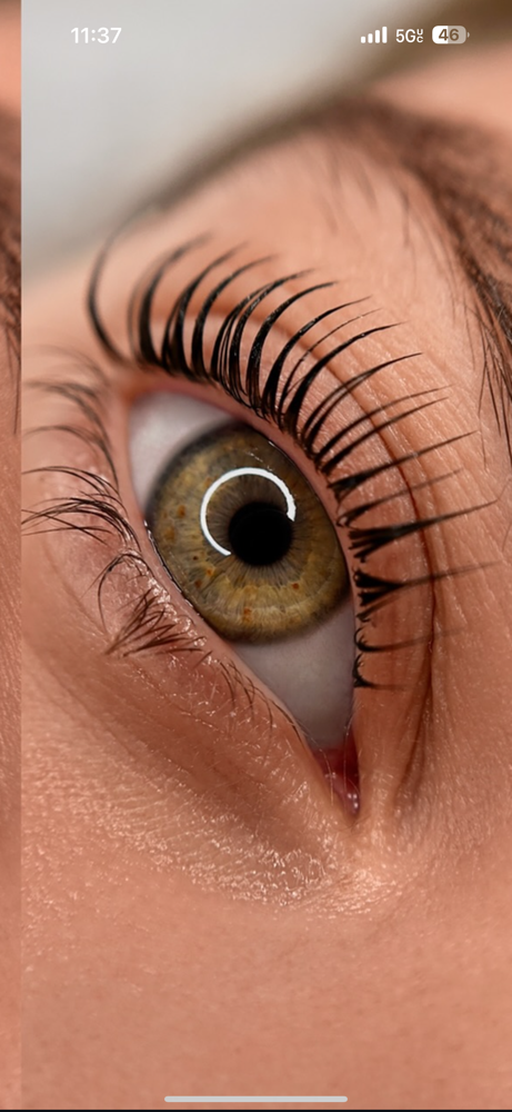 Keratin Lash Lift In Person Course