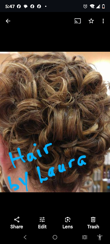 Special Occasion Updo
