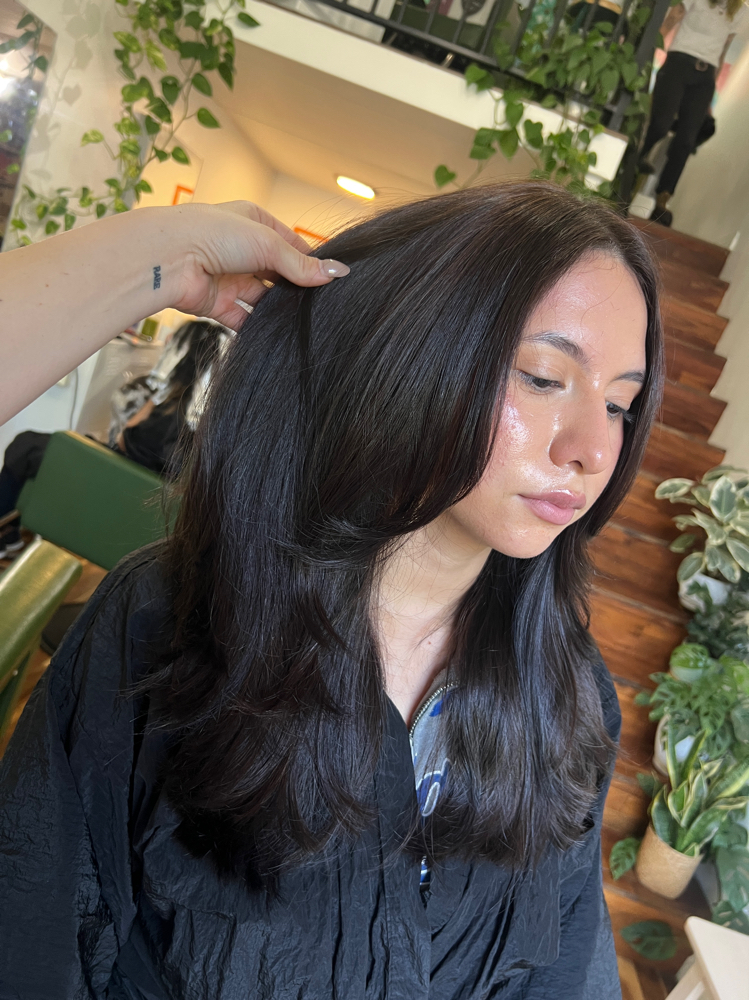 Root Touchup / Gray Touchup