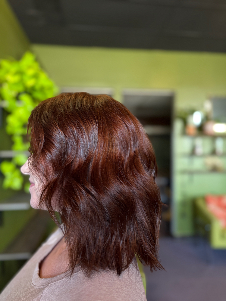 Color Touch Up/ Blow dry