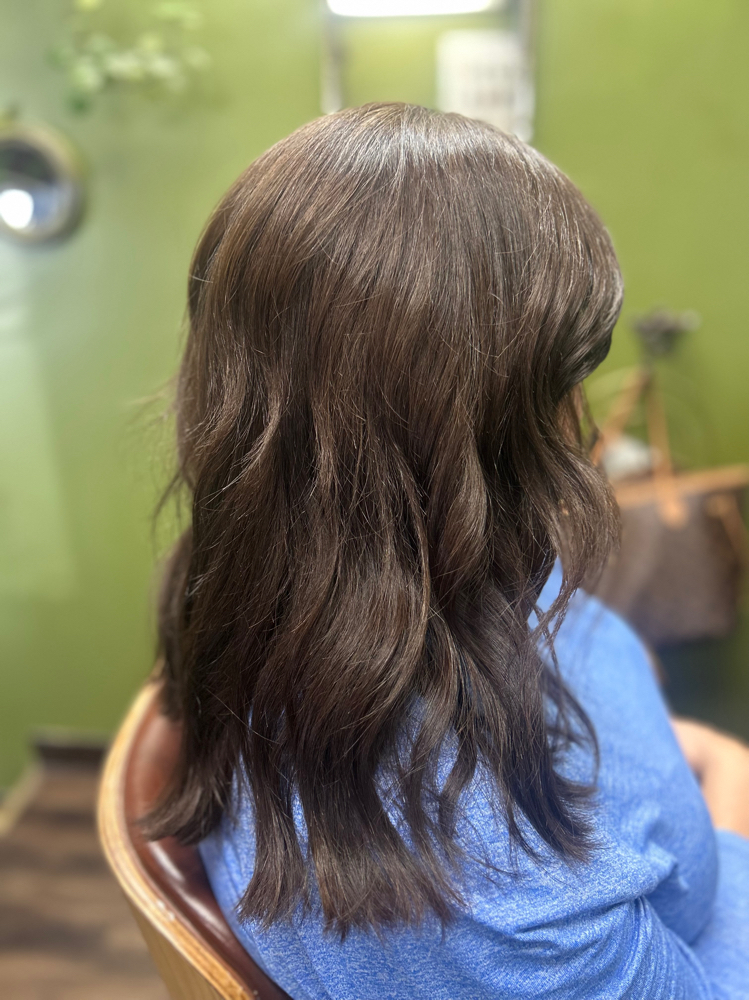 Color Touch Up/ Blow dry