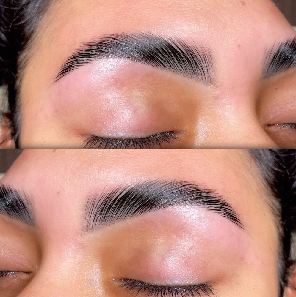 Brow Lamination + Dermaplane Glow ( at Waxed Culture in Olmos Park, TX