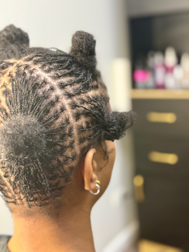 Sisterlocks TM Establishment