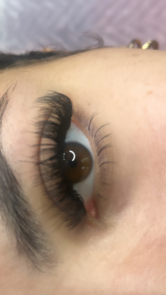 Bottom Lashes at Lavishminksandbeauty in Columbus, GA