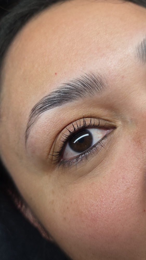 Brow Lamination at Cactus Bloom in El Paso, TX