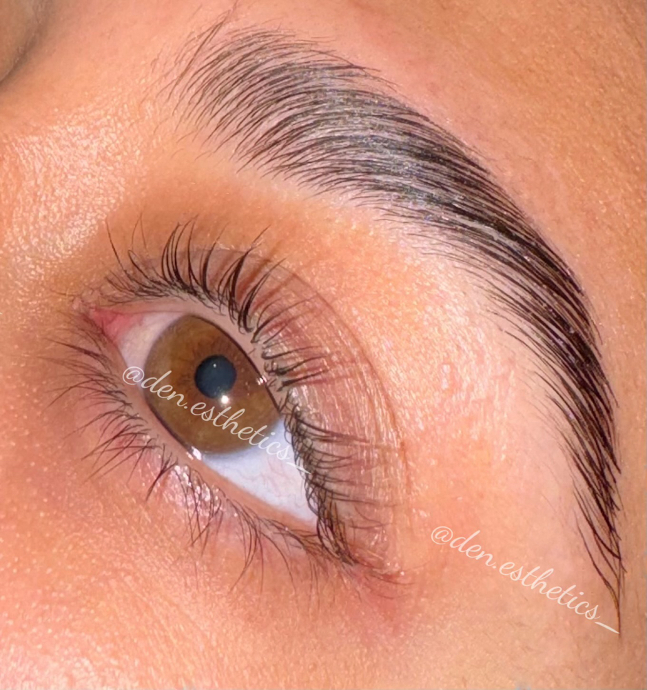 Eyebrow Lamination