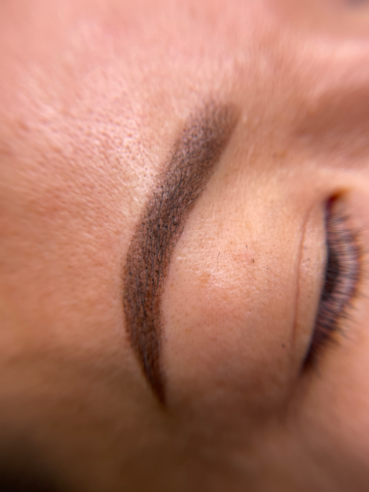Powder ombre brows back To School
