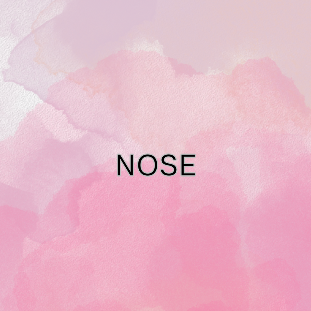 Nose