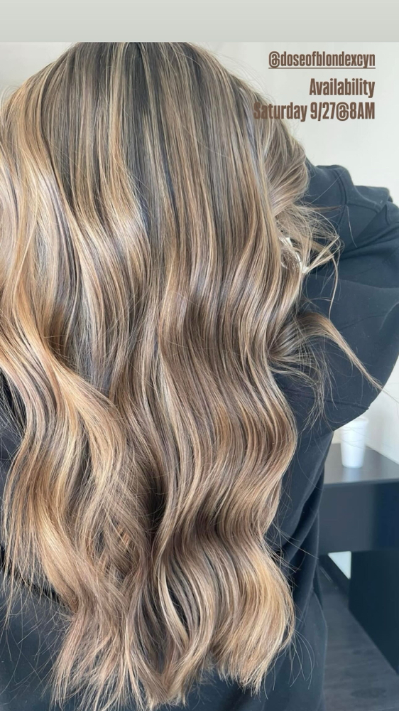 Reverse Balayage at DOSE OF BLONDE LLC in La Grange, IL