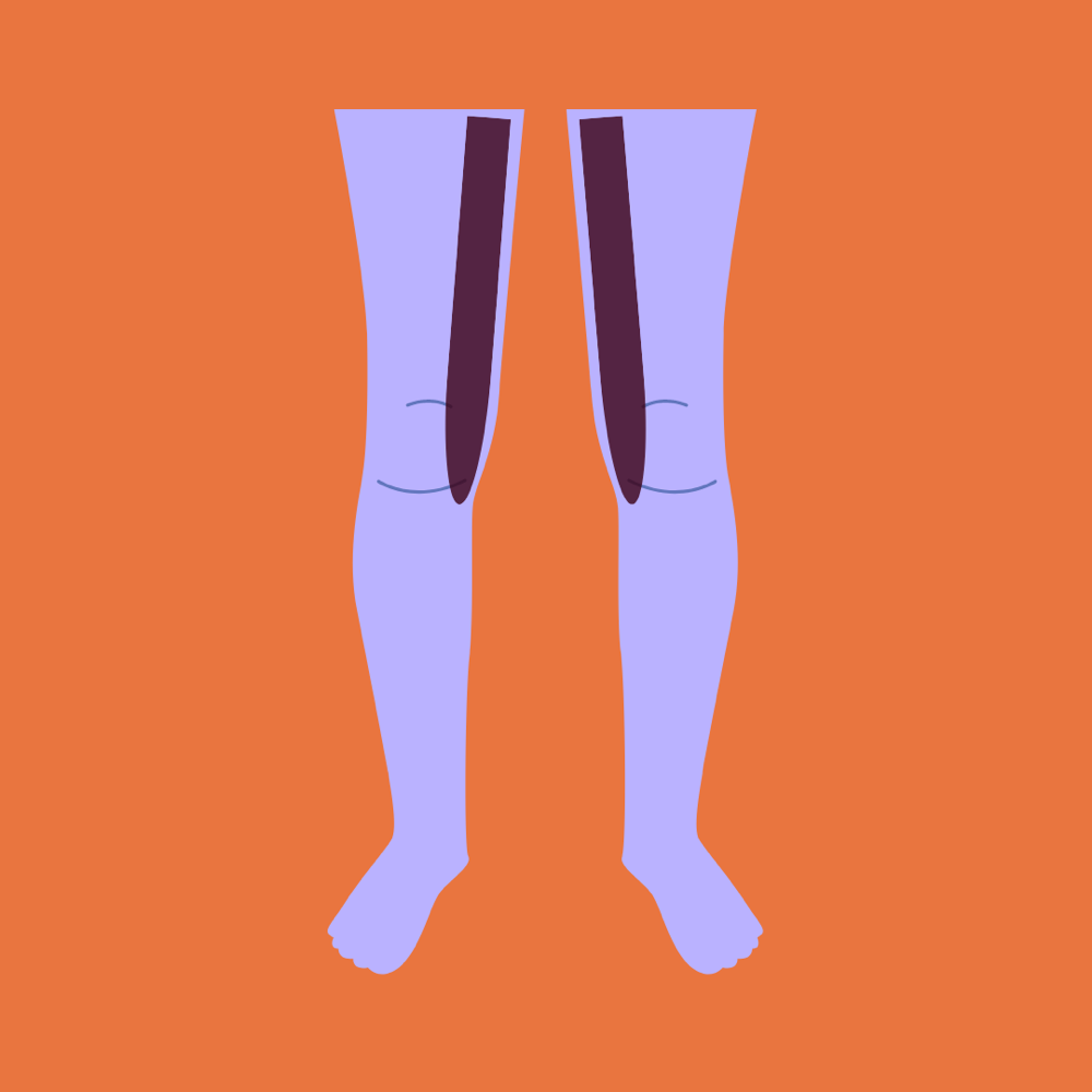 inner thighs