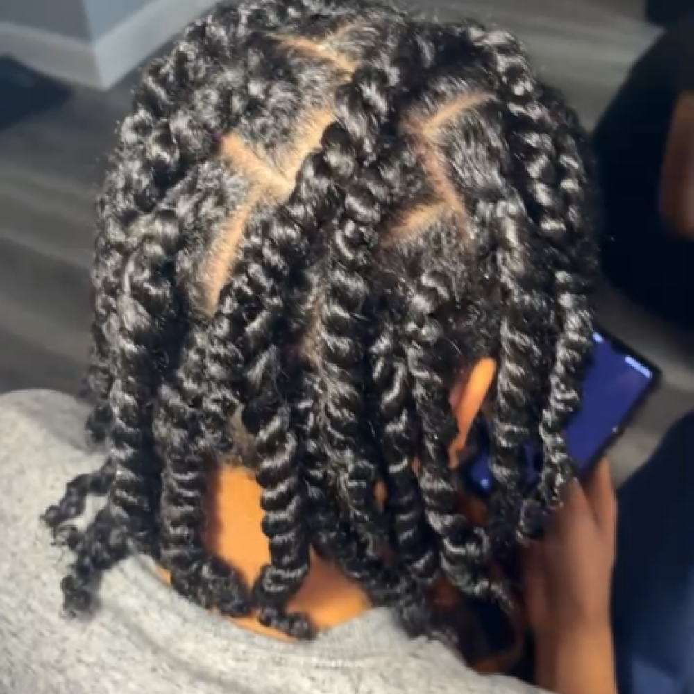 Twists / Plaits at DreamStyles By Dream in Greensboro, NC