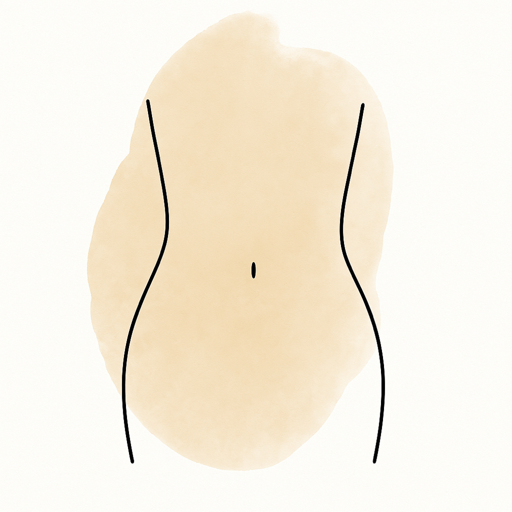 Full Stomach Wax at WaxHaus in Trinity, FL