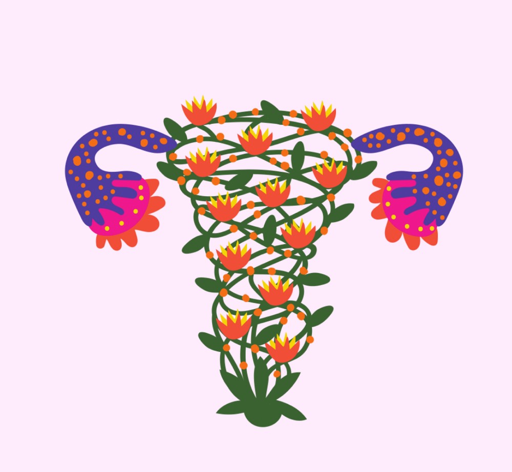 Womb Wellness 1 Month Services Only