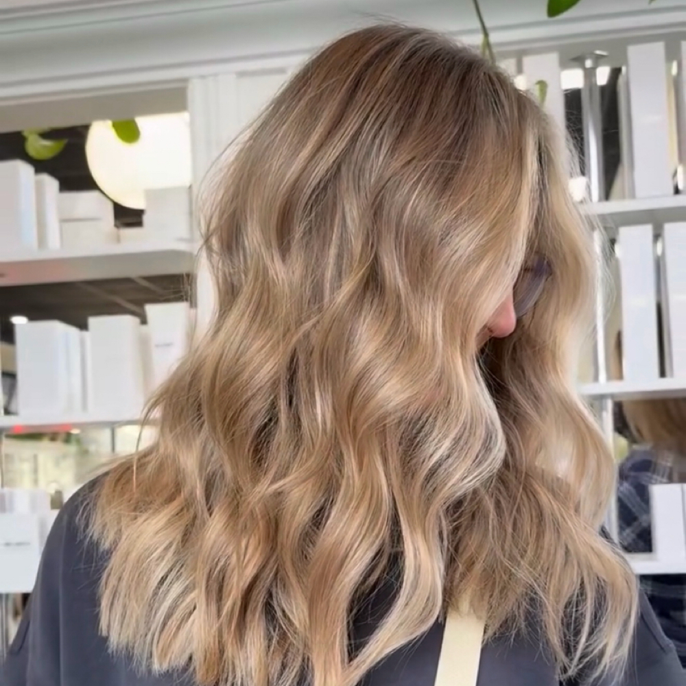 Partial Custom Color at EVLO Salon Suites in Nampa, ID