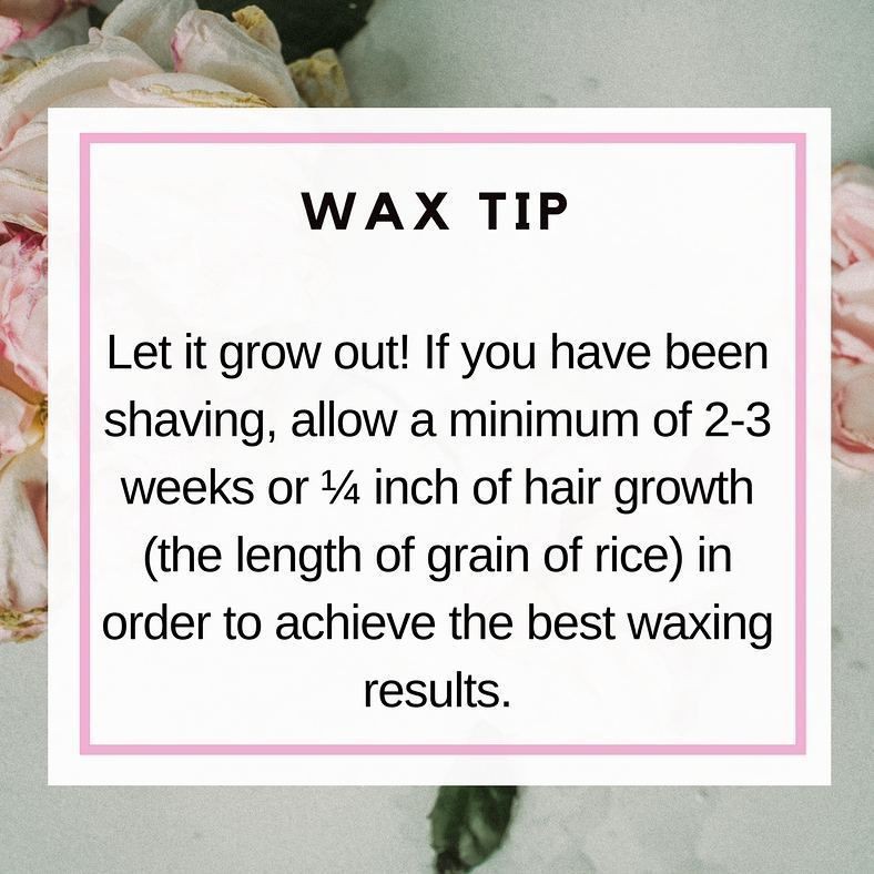 Bikini Wax