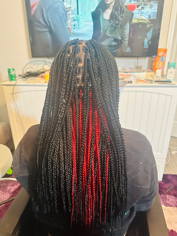Small Box Braids