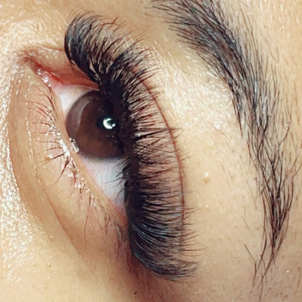 Hybrid - Eyelash Refill
