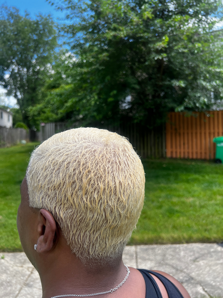 Bleach And Tone