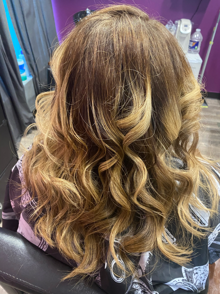 Partial Highlights + Silk Press + T