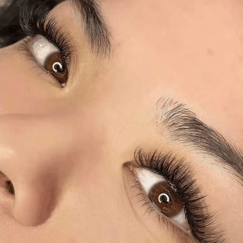 Lash Refills at Pretty Parkway in Frisco, TX
