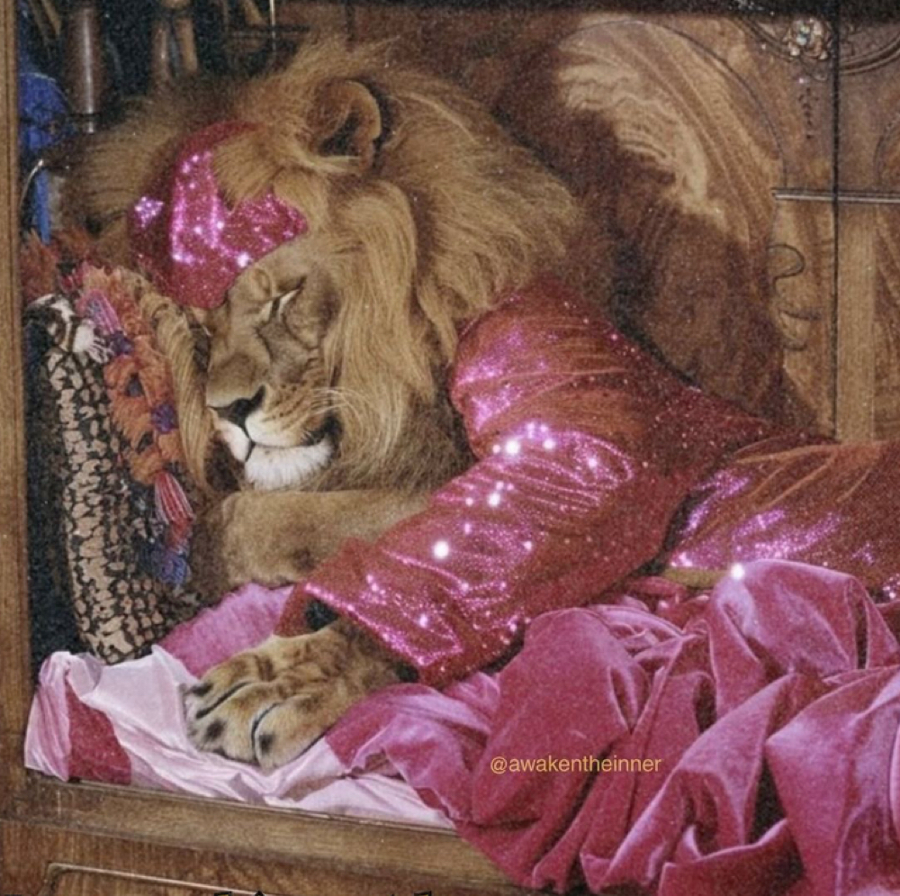 🦁THE LIONESS LASER MD at ROAR Aesthetics + Wellness in Queen Creek, AZ