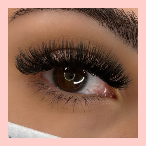 Lash Extensions Volume Set