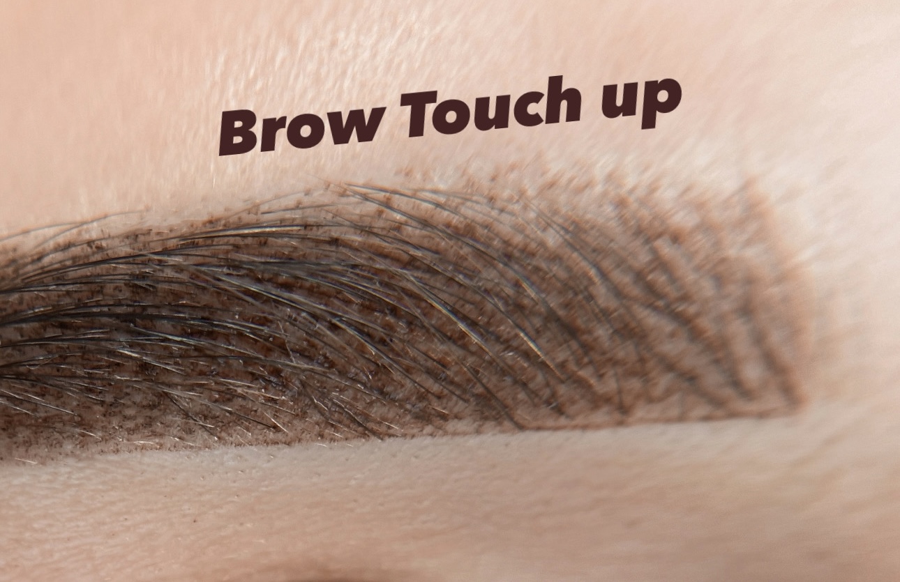 All Brow 6 Week TouchUps