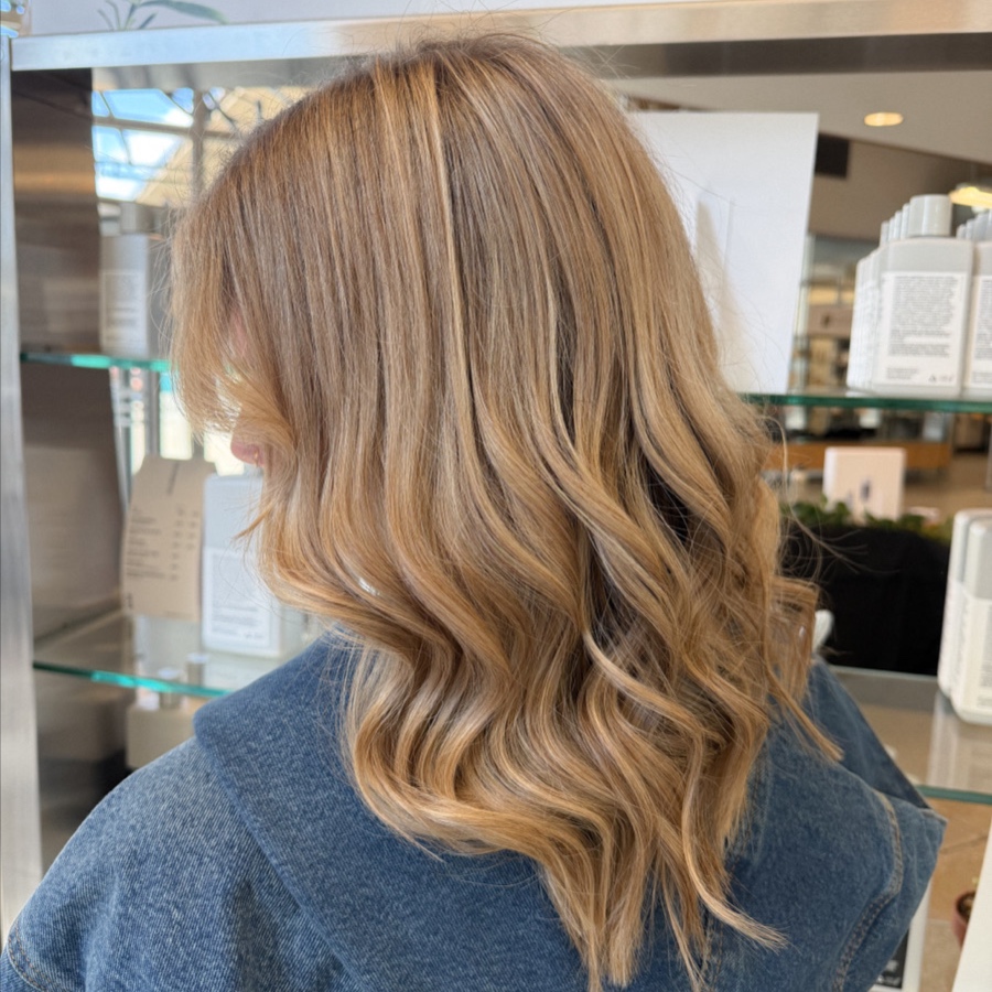 FULL HIGHLIGHT at AMN Beauty in Rockford, MI