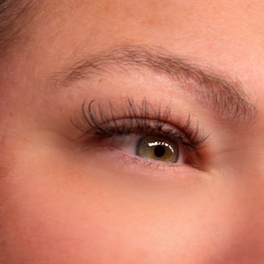 Lash Special at Smith & Co Hair Studio in Russellville, KY