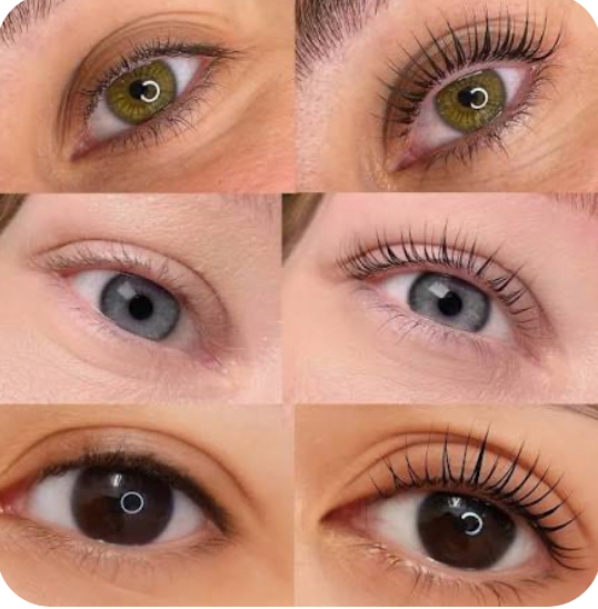 Korean Lash Lift
