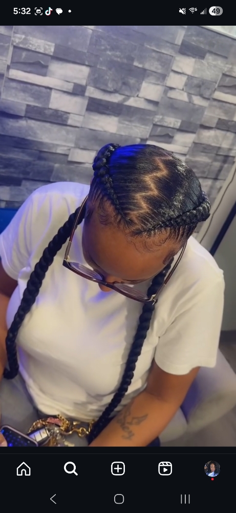 2 Braids W/ Zig Zag Part